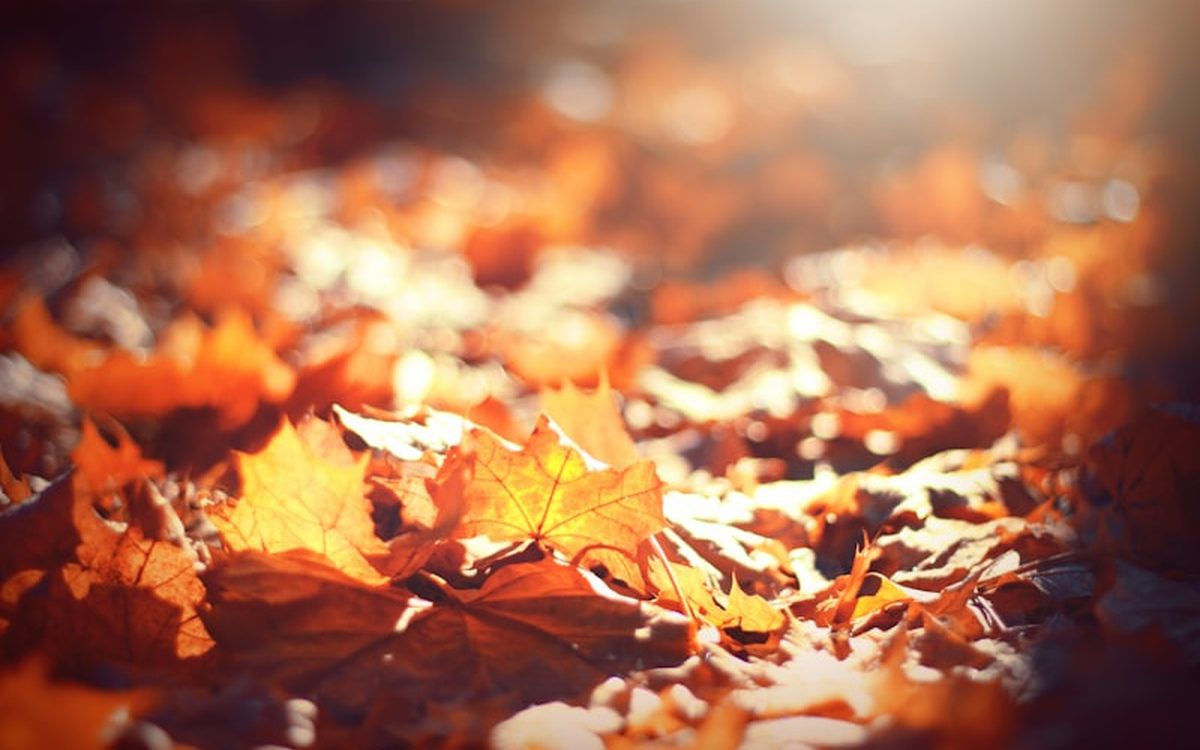 Seasonal Travel Demand: Planning Your Agency's Year